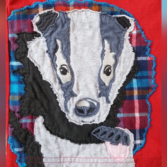 2015 vguc Mini Boden 4-5 years badger long-sleeve tee VIBRANT! - Picture 2 of 5